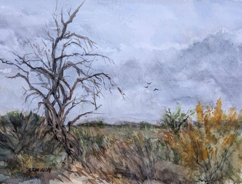 Gnarled mesquite tree under a foreboding sky hoping for rain